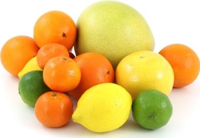 Resultado de imagen de foto naranja pomelo lmon"